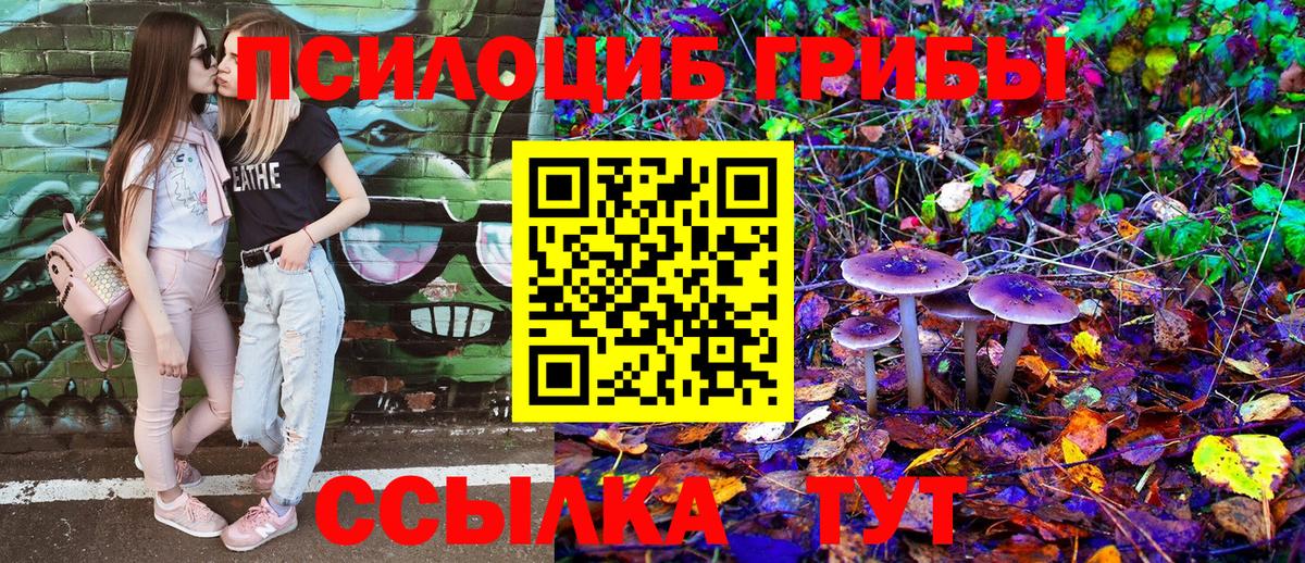 как найти закладки  Псилоцибиновые грибы Psilocybe  Вход с VPN  Екатеринбург 